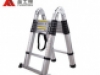 Ladder standard articulated ladder