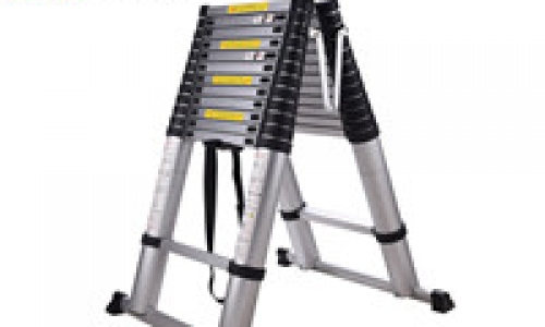 Ladder standard articulated ladder