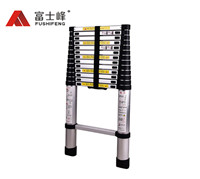 标准款 单梯01(图1)