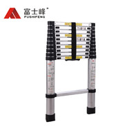 标准款 单梯03(图1)