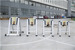 一键伸缩梯(图1)