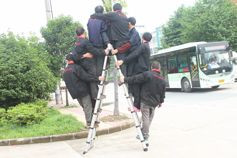 宽踏板伸缩梯(图1)